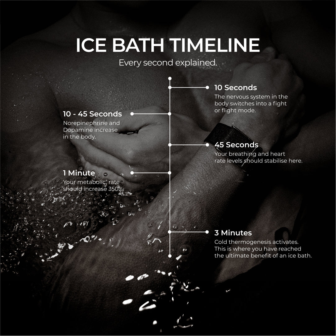 Cold Plunge Ice Bath | Barrel Pro